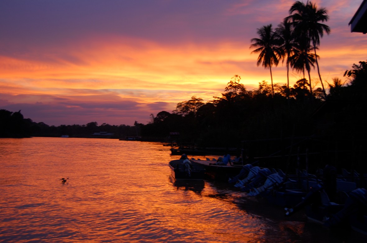 jungle sunset over kinabatangan river