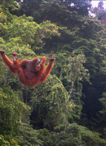 Counseling Work with Richard Hastings